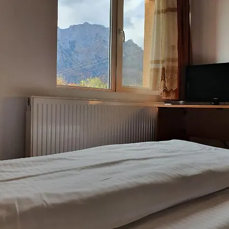 Vila Prahova Homestay *