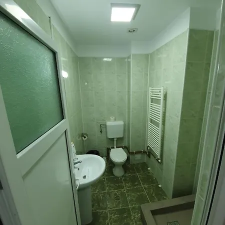 Vila Prahova Homestay Busteni