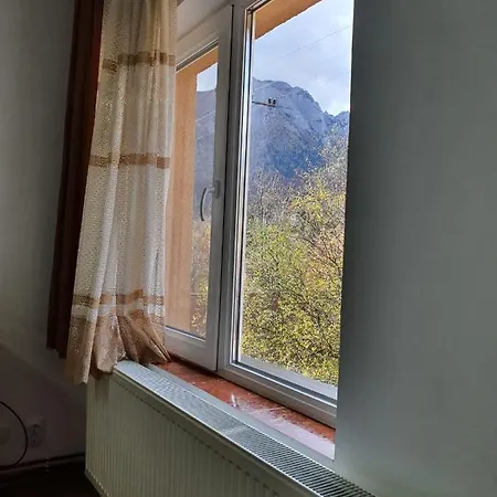 Vila Prahova Homestay