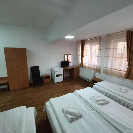 Vila Prahova Homestay Busteni