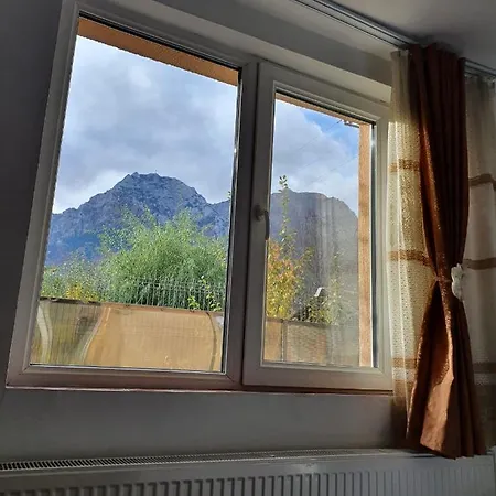 Homestay Vila Prahova Busteni